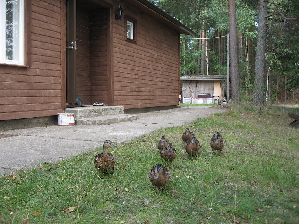 Lomasaaret Cottages Villala Pokoj fotografie